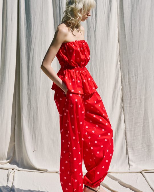 Топ Red Muse Top